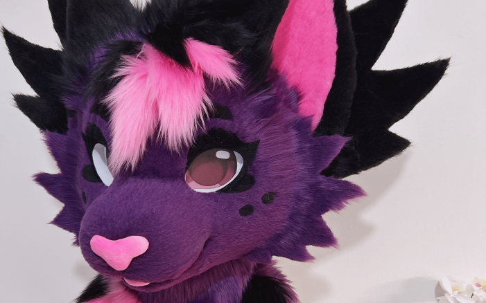 NEW HEAD - SCLMRO stidou